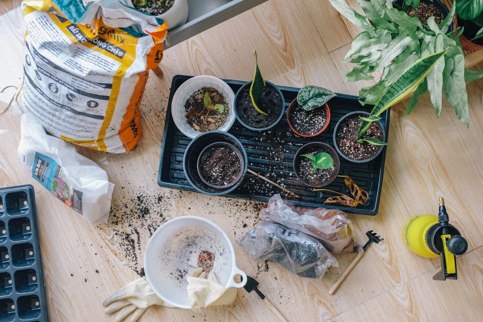 Vegetables and herbs grown in pots of various sizes on a balcony