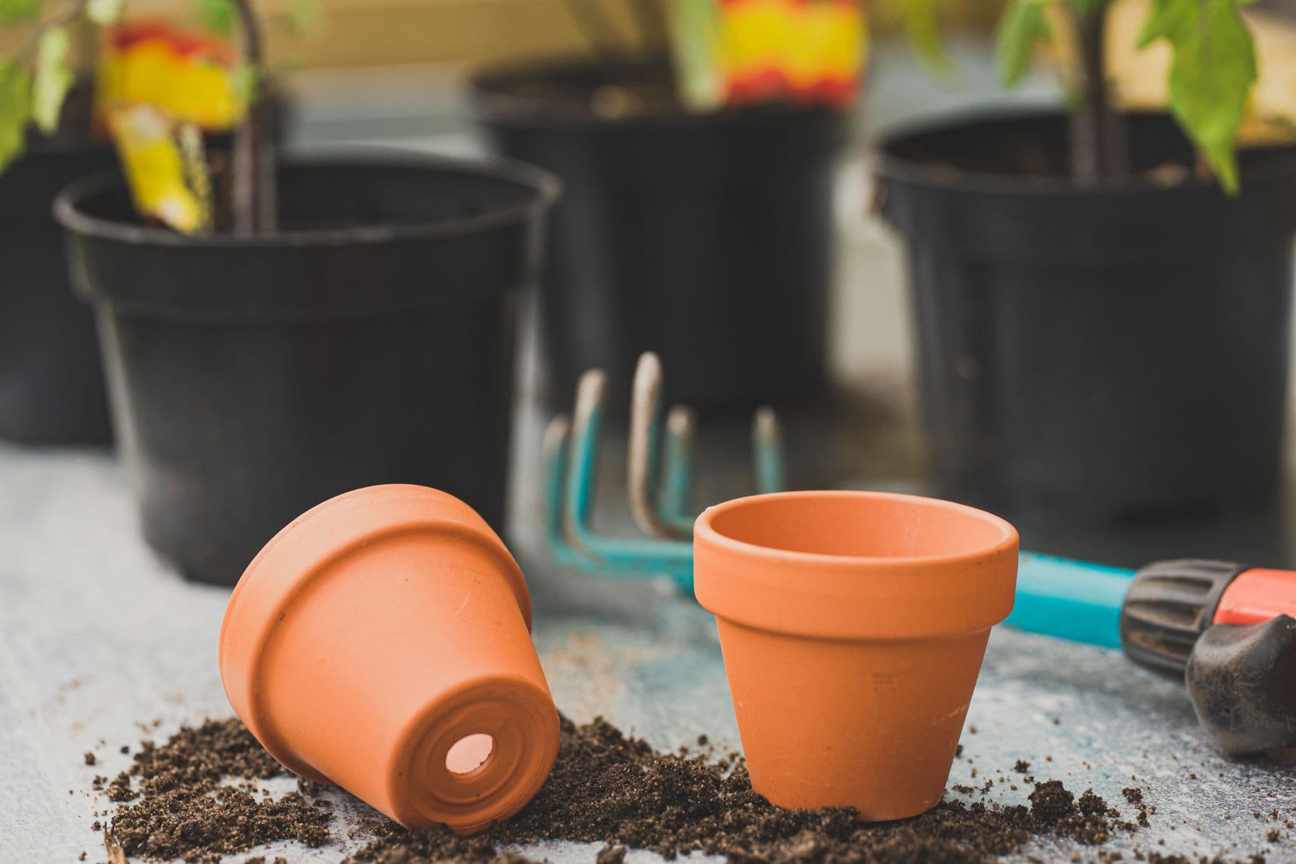 Terracotta pot with a drainage hole at the bottom