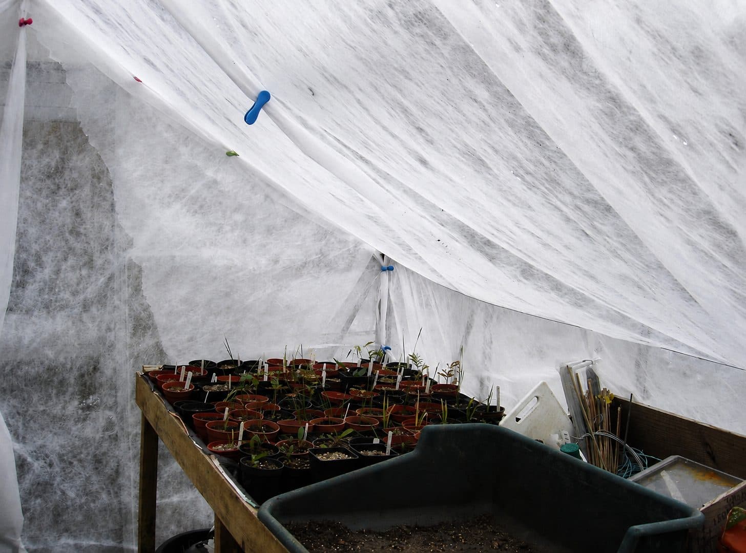 Balcony pots wrapped in garden fleece to protect them from frost